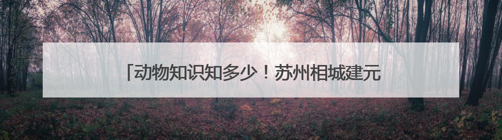动物知识知多少！苏州相城建元社区开展生物多样性科普活动