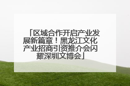 区域合作开启产业发展新篇章！黑龙江文化产业招商引资推介会闪耀深圳文博会