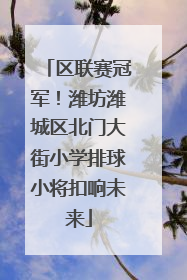 区联赛冠军！潍坊潍城区北门大街小学排球小将扣响未来