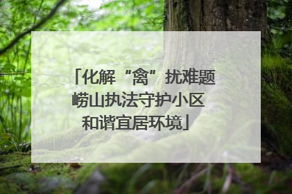 化解“禽”扰难题 崂山执法守护小区和谐宜居环境