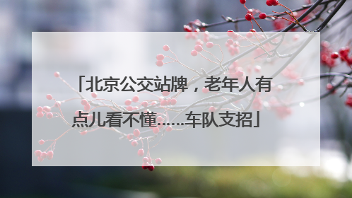 北京公交站牌，老年人有点儿看不懂……车队支招