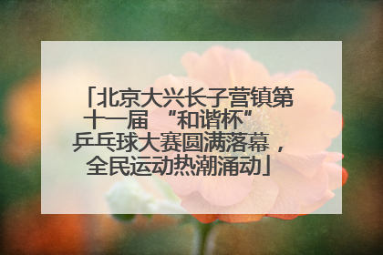 北京大兴长子营镇第十一届 “和谐杯” 乒乓球大赛圆满落幕，全民运动热潮涌动