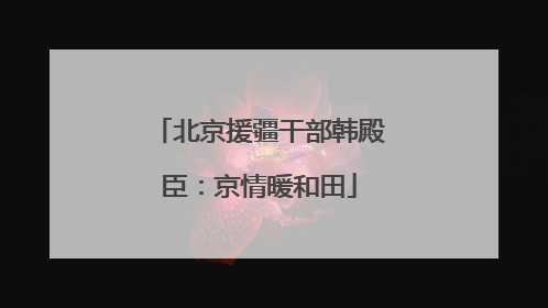 北京援疆干部韩殿臣：京情暖和田
