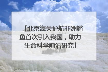 北京海关护航非洲鳉鱼首次引入我国，助力生命科学前沿研究