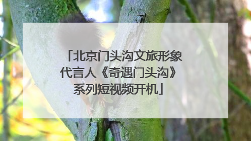 北京门头沟文旅形象代言人《奇遇门头沟》系列短视频开机