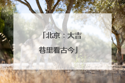 北京：大吉巷里看古今