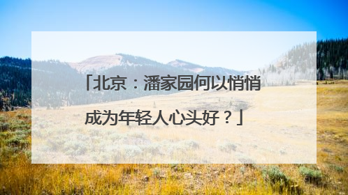 北京：潘家园何以悄悄成为年轻人心头好？
