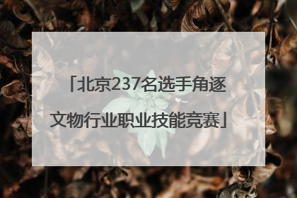 北京237名选手角逐文物行业职业技能竞赛