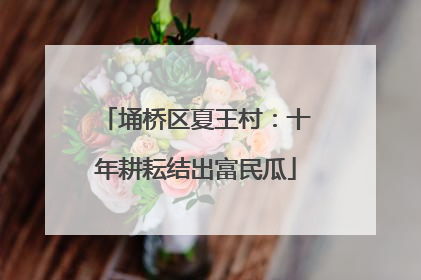 埇桥区夏王村：十年耕耘结出富民瓜