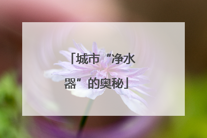 城市“净水器”的奥秘