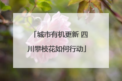 城市有机更新 四川攀枝花如何行动