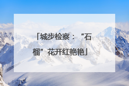 城步检察：“石榴”花开红艳艳