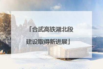 合武高铁湖北段建设取得新进展