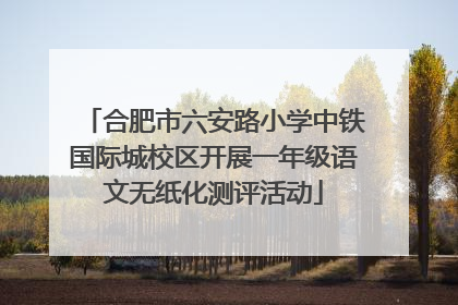 合肥市六安路小学中铁国际城校区开展一年级语文无纸化测评活动
