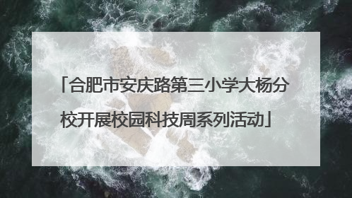 合肥市安庆路第三小学大杨分校开展校园科技周系列活动