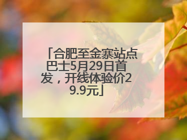 合肥至金寨站点巴士5月29日首发，开线体验价29.9元