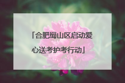 合肥蜀山区启动爱心送考护考行动