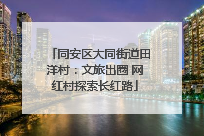 同安区大同街道田洋村：文旅出圈 网红村探索长红路