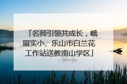 名师引领共成长，峨眉实小、乐山市白兰花工作站送教南山学区