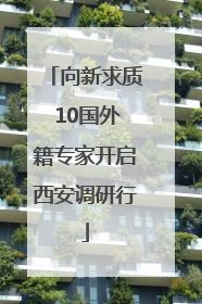 向新求质 10国外籍专家开启西安调研行