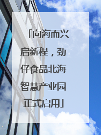 向海而兴启新程，劲仔食品北海智慧产业园正式启用