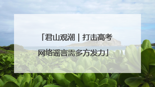 君山观潮｜打击高考网络谣言需多方发力