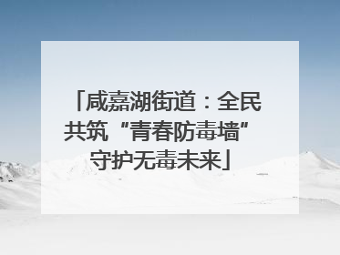 咸嘉湖街道：全民共筑“青春防毒墙” 守护无毒未来