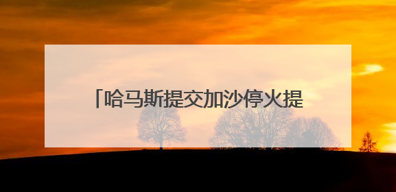 哈马斯提交加沙停火提议回应 以方称将此回应视为“有效拒绝”