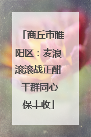 商丘市睢阳区：麦浪滚滚战正酣 干群同心保丰收