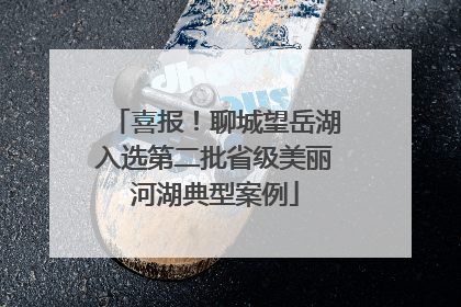 喜报！聊城望岳湖入选第二批省级美丽河湖典型案例