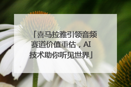 喜马拉雅引领音频赛道价值重估，AI技术助你听见世界