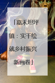 嘉禾坦坪镇：实干绘就乡村振兴新画卷