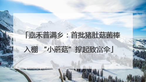嘉禾普满乡：首批猪肚菇菌棒入棚 “小蘑菇”撑起致富伞
