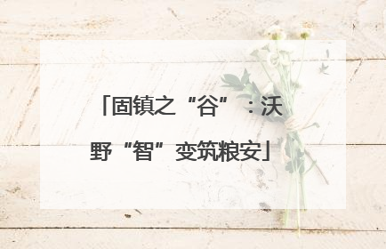 固镇之“谷”：沃野“智”变筑粮安