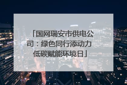 国网瑞安市供电公司：绿色同行添动力 低碳赋能环境日