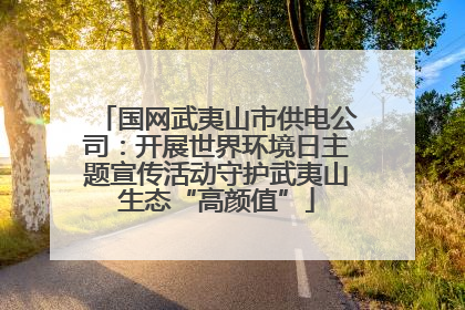 国网武夷山市供电公司：开展世界环境日主题宣传活动守护武夷山生态“高颜值”