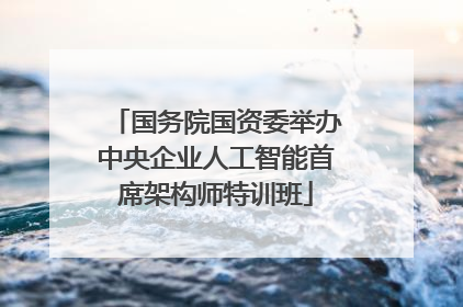 国务院国资委举办中央企业人工智能首席架构师特训班