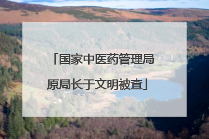 国家中医药管理局原局长于文明被查
