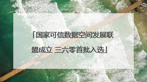 国家可信数据空间发展联盟成立 三六零首批入选