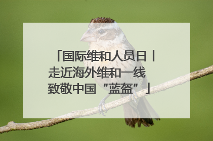 国际维和人员日丨走近海外维和一线 致敬中国“蓝盔”