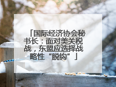 国际经济协会秘书长：面对美关税战，东盟应选择战略性“脱钩”