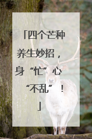 四个芒种养生妙招，身“忙”心“不乱”！