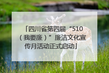 四川省第四届“510（我要廉）”廉洁文化宣传月活动正式启动