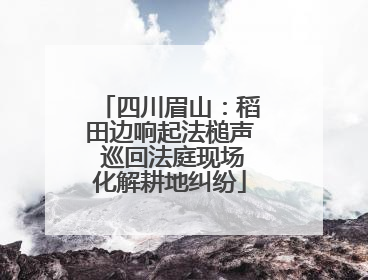四川眉山：稻田边响起法槌声 巡回法庭现场化解耕地纠纷