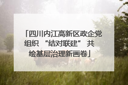 四川内江高新区政企党组织 “结对联建” 共绘基层治理新画卷