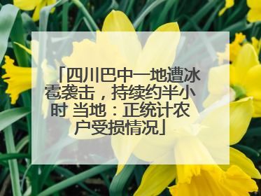 四川巴中一地遭冰雹袭击，持续约半小时 当地：正统计农户受损情况
