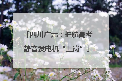 四川广元：护航高考 静音发电机“上岗”