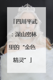四川平武：深山密林里的“金色精灵”