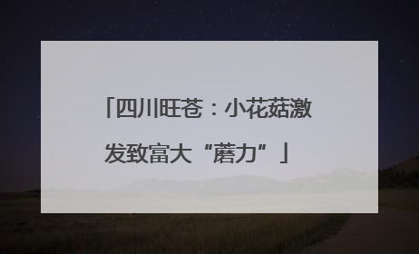 四川旺苍：小花菇激发致富大“蘑力”