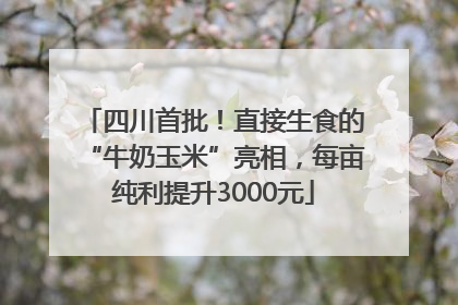 四川首批！直接生食的“牛奶玉米”亮相，每亩纯利提升3000元